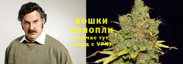 дживик Бугульма
