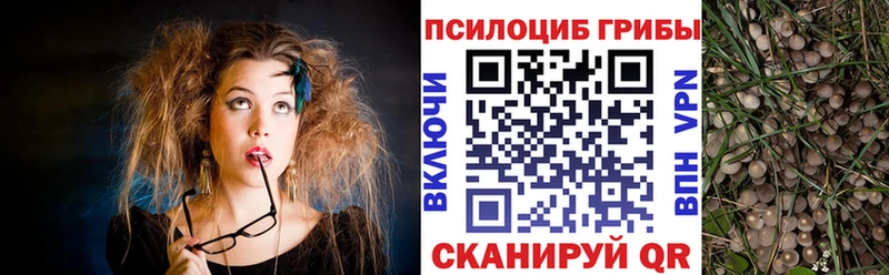 Псилоцибиновые грибы GOLDEN TEACHER  купить наркоту  Белово 